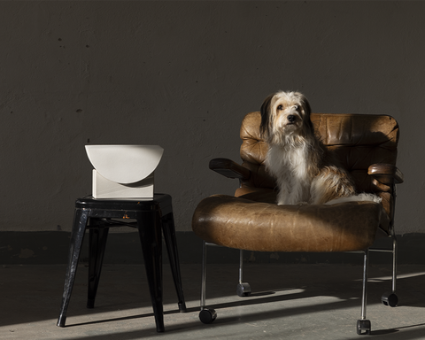 Reminder (001) – Petite